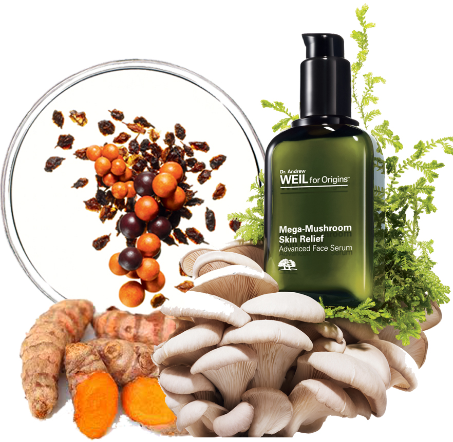 BeautyBlog, mega hudhealende, dr. weil mega-mushroom