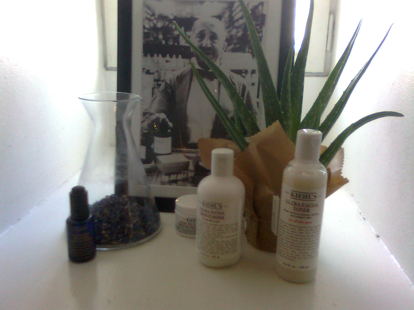 BeautyBlog-Kiehl's-pressemøde