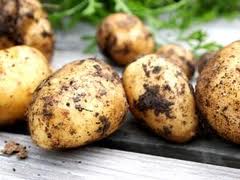 Kartofler på bord