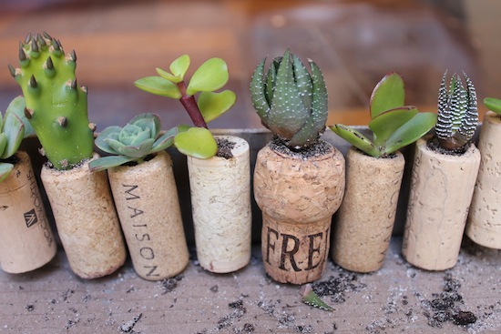 cork_planters11