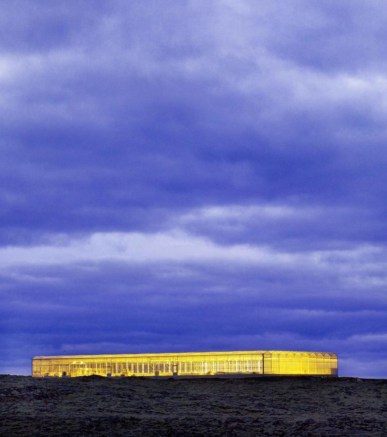 diaporamaphoto-d1-serre-nuit-bioeffect-green-factory-night