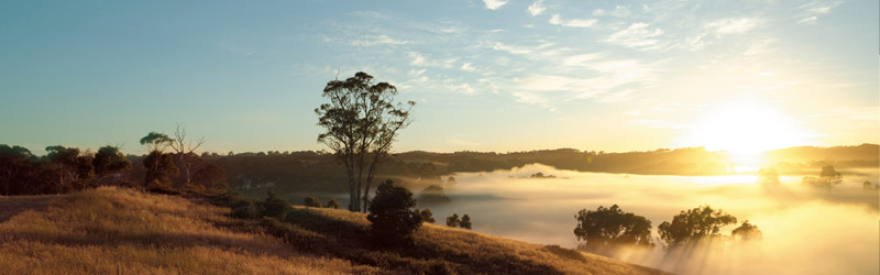 jurlique_farm_sunrise_fog