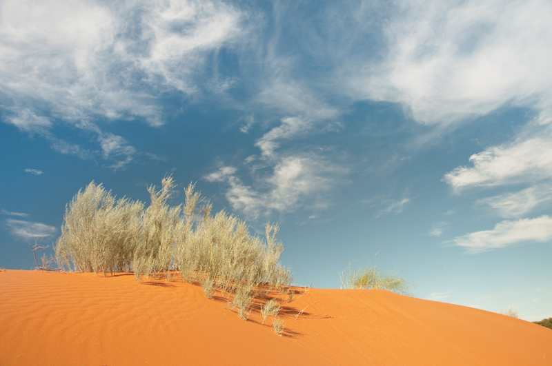 kalahari-dune 2